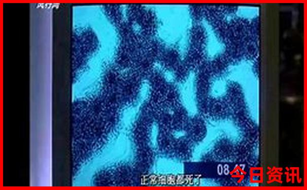 宜昌旅游攻略二日游