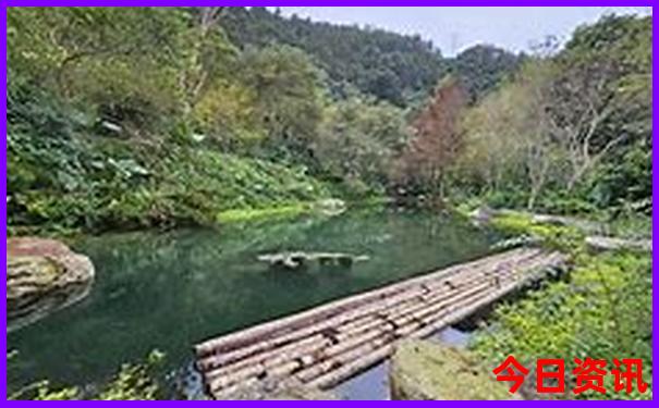 柞水旅游攻略景点必去